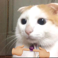 bôngg_tg