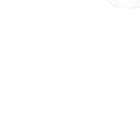 Nvp -Nữ-