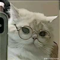 tác giả bị khùng