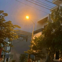 mắm