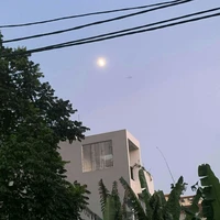 mắm