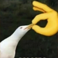 Pen.