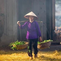 Cụ Ba Hợi