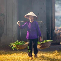 Cụ Ba Hợi