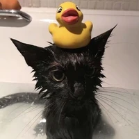 t/g bj bệnh lười giai đoạn cuối🐧