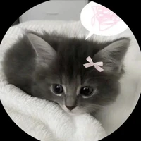 T/g mê boylove👀👽