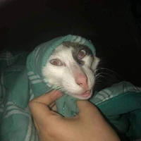 Ẹc1