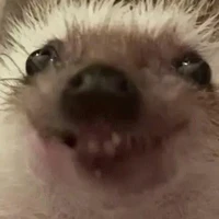 Ẹc2
