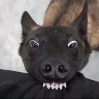 Ẹc9