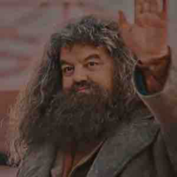 Rubeus Hagrid 