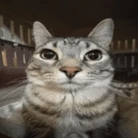 tg ngầu lòi😎😎😎