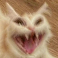 t/g ngủ mơ lấy kịch bản