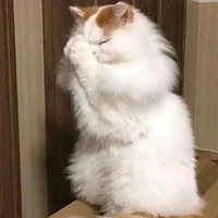 vk yêu của t/g