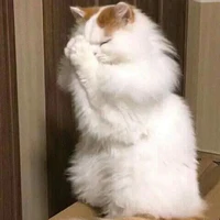 vk yêu của t/g