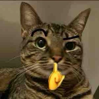 All [trừ ai thì trừ]