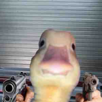 mc
