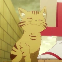 leo ; sut