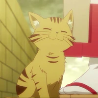 leo ; sut