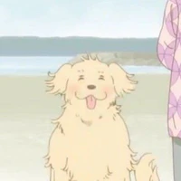 nagi ; cg