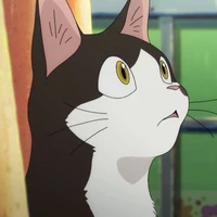 ren ; nm