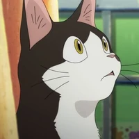 ren ; nm
