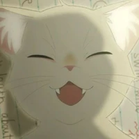 mimi ; bb