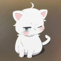 kawai ; bd