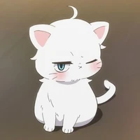 kawai ; bd