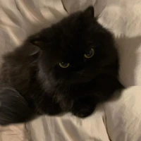 Milo