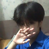Việt Anh
