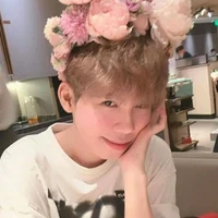 Hữu Đạt/Sgp Phoenix