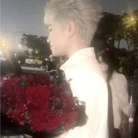 Ghệ Miền Bắc