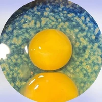 nhỏ chủ truyện nhè chứ aiii