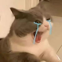 《t/g bị yêu đời 》