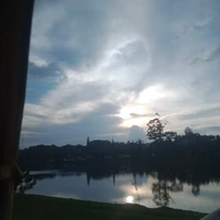 con t/g khùng điên