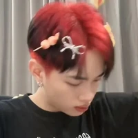 Nguyễn Thanh Pháp(mẹ nuôi em)