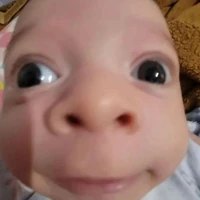 Zany đây!!