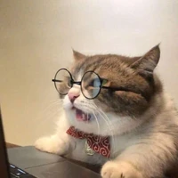 tác giả meo meo