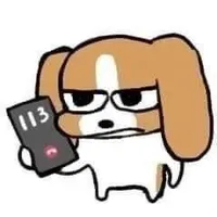 tác giả meo meo