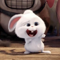 all : lớp