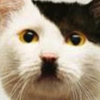 T/g Hitler