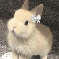 𝙏𝙤̂̉𝙣𝙜 𝙏𝙖̀𝙞🐑
