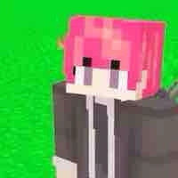 Hiha sát thủ [st]