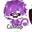 hiha catnap[tím]
