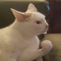 Tác Giả Dại Trai Lẫn Gái🎀💢