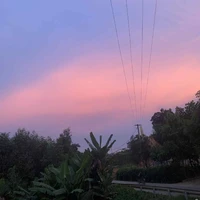 hinne_lin