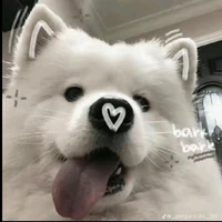 Po