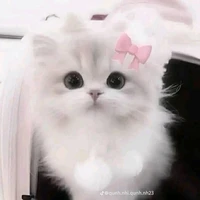 Hệ Thống-miu-