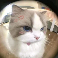 t/g chạy deadline chậm^^