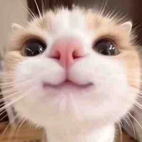 T/g Ta ghét sầu riêng nhất !!!